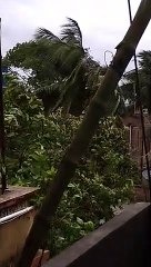 Amphan cyclone in Hooghly West Bengal