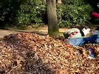 Saut dans les feuilles