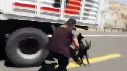 Uyuşturucu operasyonunda 83 kilo esrar ele geçirildi - GAZİANTEP