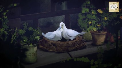 تميم البرغوثي :  الشوارع فجراً