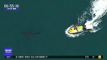 [이 시각 세계] 서핑 도중 백상아리가 공격…호주서 60세 남성 사망
