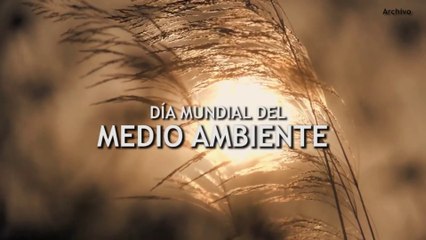 Dia mundial del medio ambiente 5 de junio / World Environment Day June 5.