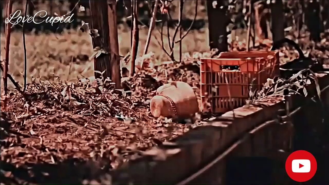 A HISTORIA DE OLIVIA E MIGUEL PARTE 02