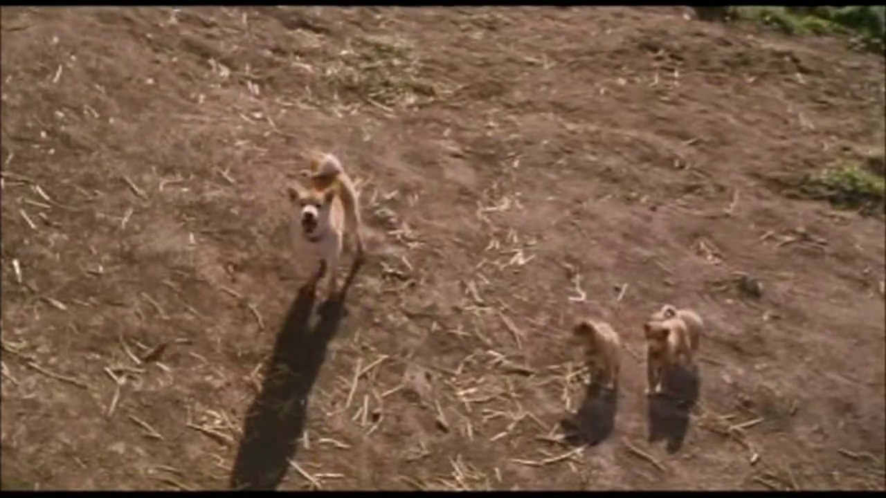 A TALE OF MARI AND THREE PUPPIES Isolated Score: Farewell, Music By Joe Hisaishi