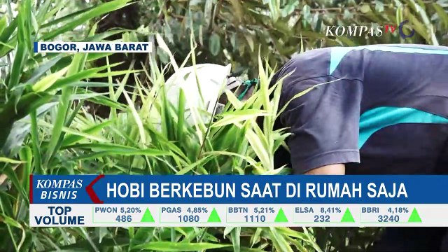 Bercocok Tanam, Cara Baru Satukan Hobi dan Bisnis selama di Rumah Aja