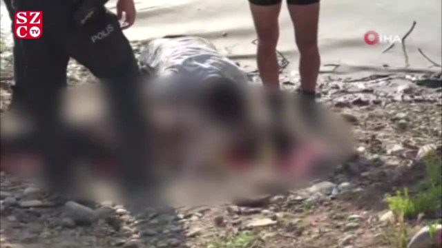 Boğulan kardeşinin cansız bedenine sarılıp gözyaşı döktü