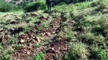 Diyarbakır'da 110 kilogram esrar, 330 bin 603 kök Hint keneviri ele geçirildi