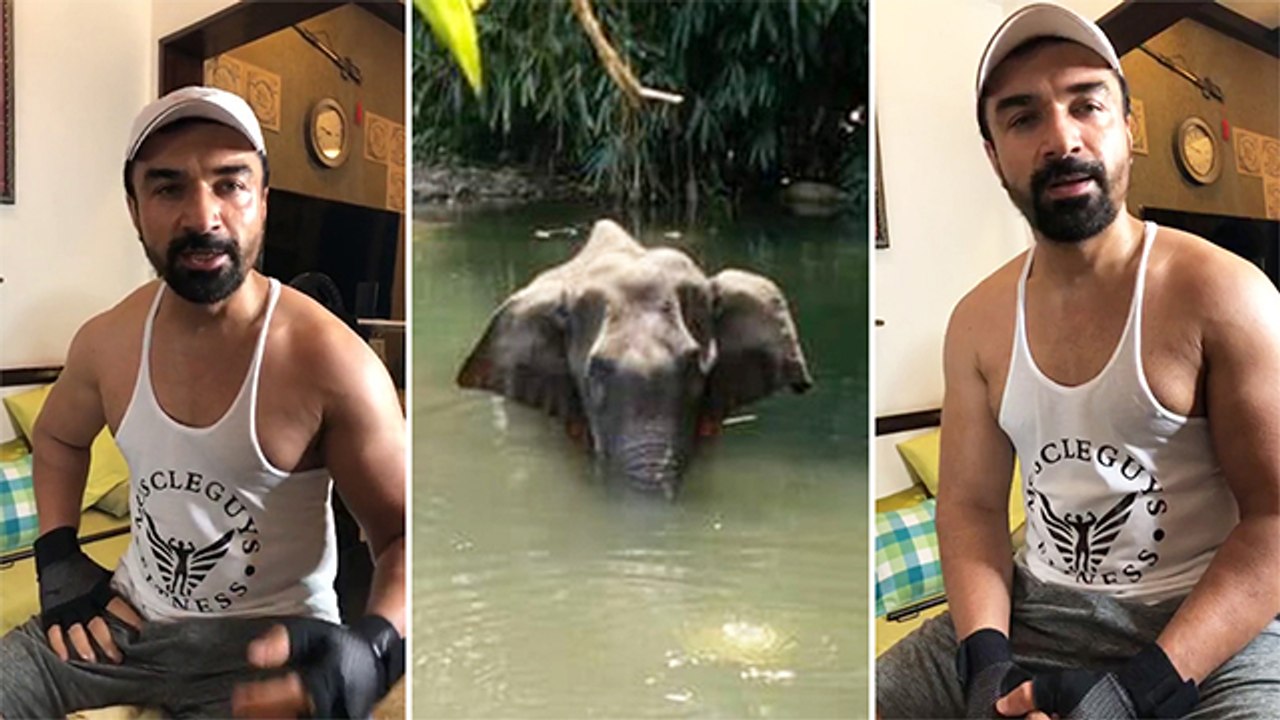 Ajaz Khan Angry Reaction On The Horrific Death Of Pregnant Elephant