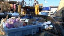 Más de 2.600 pescadores recuperan cerca de 152 toneladas de basura marina