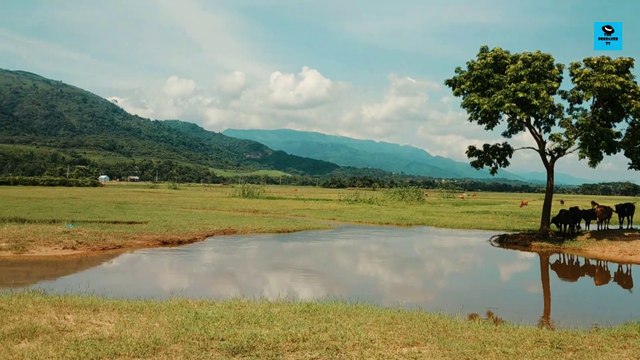 Niladri Lake, Sunamganj, Sylhet, Bangladesh HD | Sylhet 2020 |Beautiful Bangladesh | Beautiful Tanguar Haor