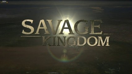 Savage Kingdom S01E01 Leopards Rock Nat Geo Wild HD