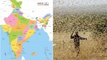 Locusts Swarms : Sri Lanka Keeping A Close Watch On Locust Situation In India