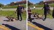 Un chien de policier mord le derrière d'un manifestant