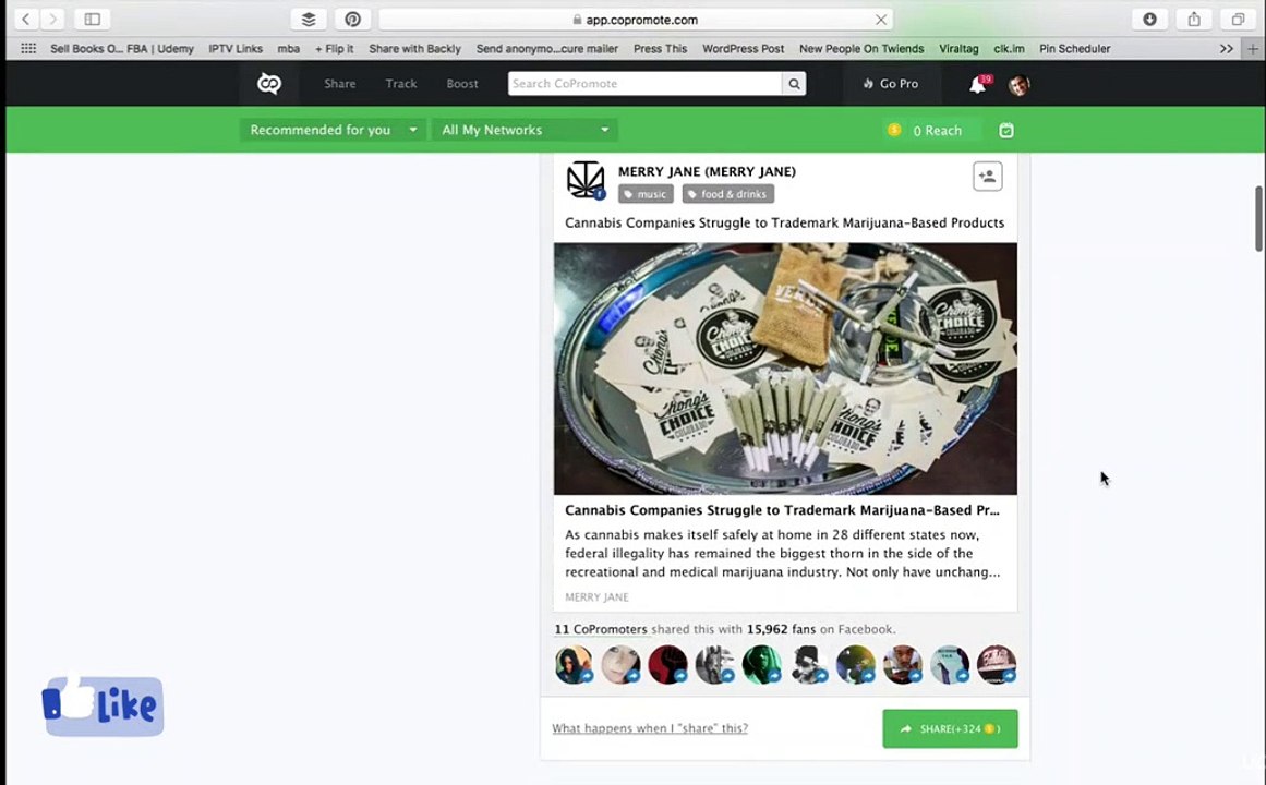 Special : Learn Co promote - Viral Content bee Competitor
