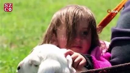 Minik Şirin’in kuzuyla aynı bohçada yolculuğu