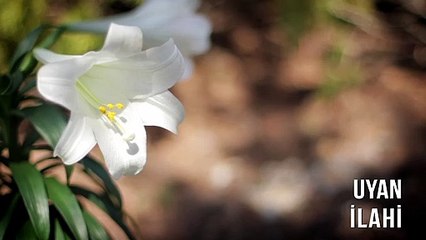 Müziksiz İlahiler - Uyan
