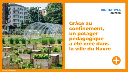 Grâce au confinement, un potager pédagogique a été créé dans la ville du Havre