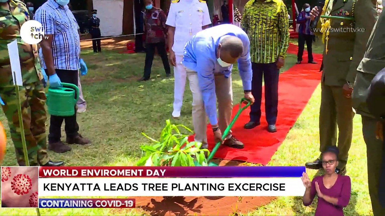 World Environment Day