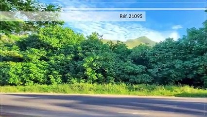 A VENDRE TERRAIN DE 16800 M2 (BORD DE ROUTE) AFAREAITU - MOOREA
