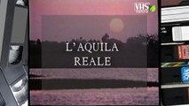 L' AQUILA REALE