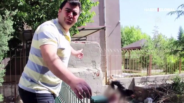 Ayağı demir korkuluğa sıkışan yaralı köpeği itfaiye kurtardı