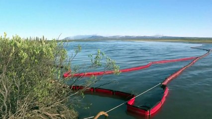 Corrida contra o tempo para limpar desastre ambiental no Ártico siberiano