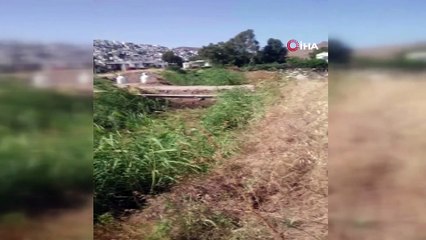 Bodrum’da sahili genişletmek için ağaç katliamı yaptılar