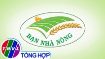 Bạn nhà nông - Kỳ 191: Cải tạo đất vườn sau hạn mặn