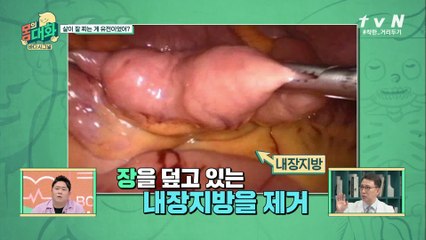 피하지방 VS 내장지방, 어떤 지방 몸에 더 안 좋을까?