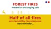 Forest fires : prevention and staying safe.