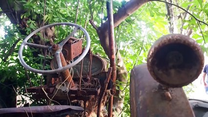 Hurda traktörlerin içinden yükselen incir ağaçları ilginç görüntülere sahne oluyor - AYDIN