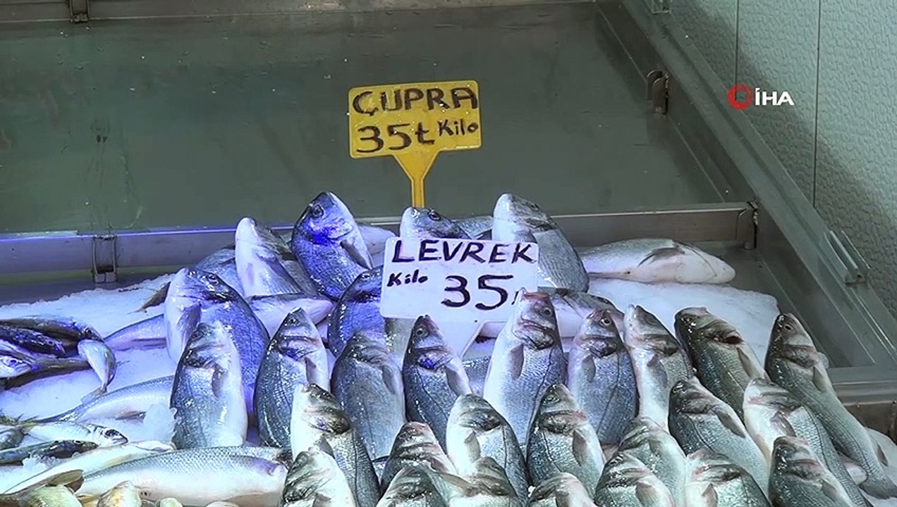 Koronavirüs balıkçıları vurdu