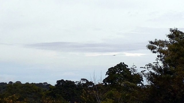 [SBEG Spotting]Airbus A330 PR-AIY na final antes de pousar em Manaus vindo de Campinas(07/06/2020)