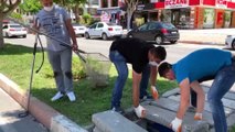 Kanalizasyon borusuna sıkışan kedi yavrusu kurtarıldı - ANTALYA