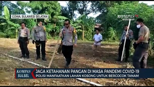 Polisi Manfaatkan Lahan Kosong Untuk Bercocok Tanam