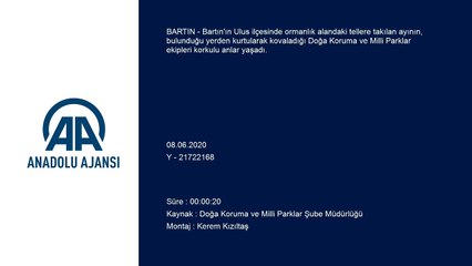 Ayının kovaladığı ekipler korkulu anlar yaşadı - BARTIN