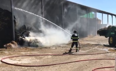 Saludecio (RN) - Bruciano rotoballe in un fienile (08.06.20)