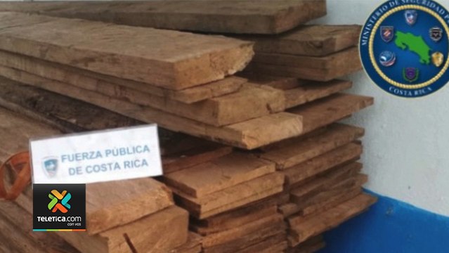 tn7-decomiso-de-madera-los-chiles-080620