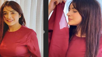 Shehnaz Gill ने शेयर की नई Insta story, बहुत कुछ खास है इन तस्वीरों में | FilmiBeat