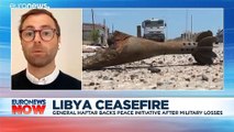 Haftar backs ceasefire as rebels lose ground in Libya