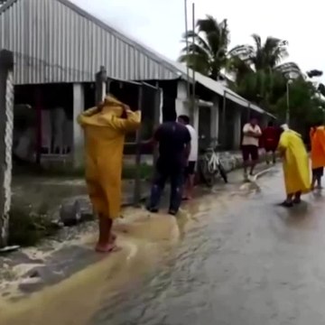 Etats-Unis: La tempête tropicale Cristobal s'est abattue sur la Louisiane