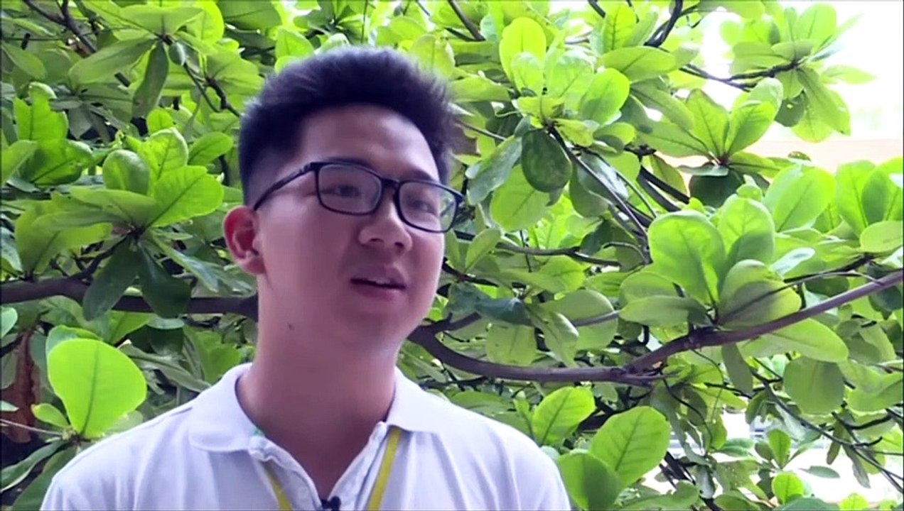 Sexualkunde-Unterricht in Vietnam: Das Tabu aufbrechen