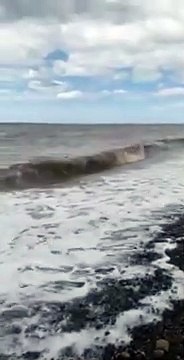 Un lapin surgit de la mer puis court avec vigueur pour aller à la plage.