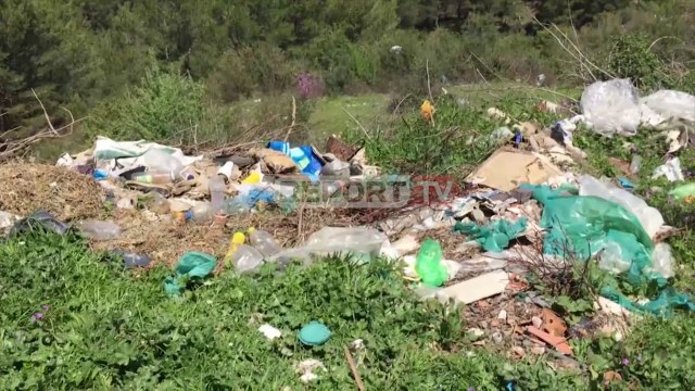 Report TV -Fshati i ‘mbytur’ nga plehrat, ku shkojnë taksat? Banorët e Qafrrapës: Infeksion i gjallë