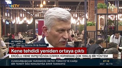 Sivas Valisinden ölümcül ''Kene'' uyarısı