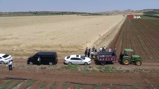 - Başkan Tahmazoğlu çiftçilerin hasat sevincine ortak oldu- Gaziantep Şahinbey Belediye Başkanı Mehmet Tahmazoğlu, çiftçilerin buğday hasadı sevincine ortak oldu