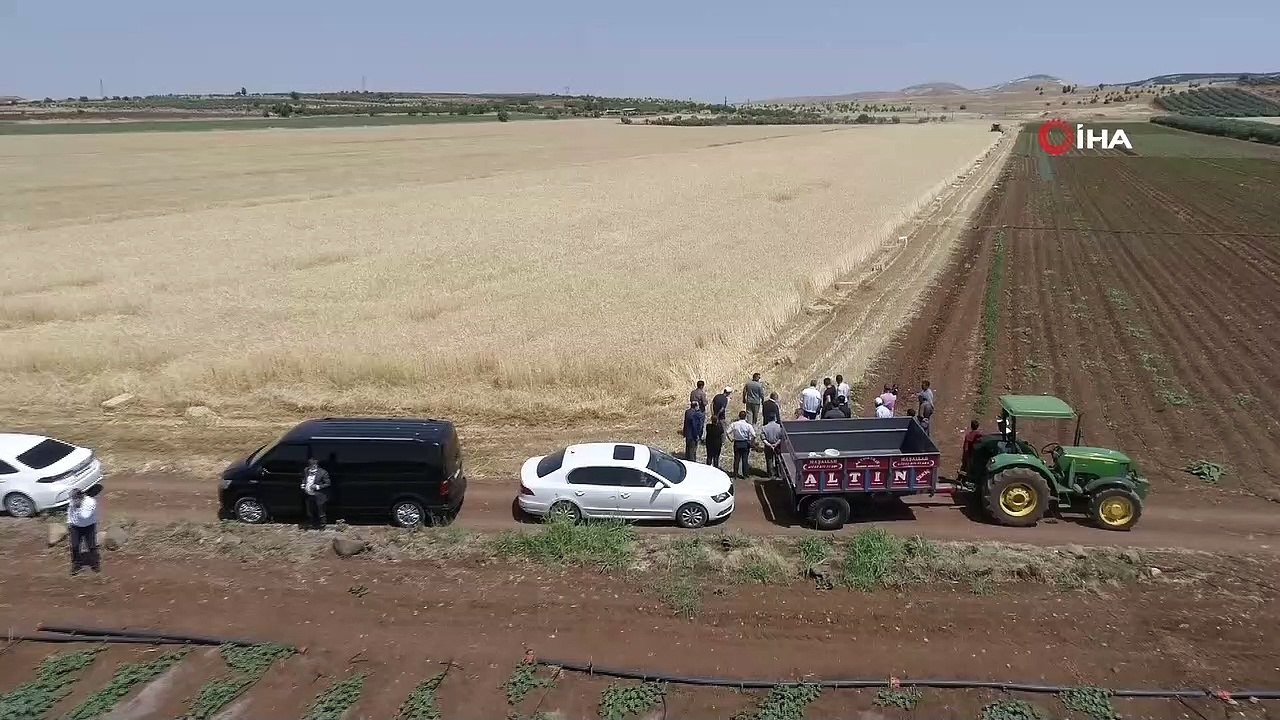 - Başkan Tahmazoğlu çiftçilerin hasat sevincine ortak oldu- Gaziantep Şahinbey Belediye Başkanı Mehmet Tahmazoğlu, çiftçilerin buğday hasadı sevincine ortak oldu