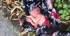 Thaïlande : abandonné le long d'une route, un nourrisson sauvé par un expatrié américain