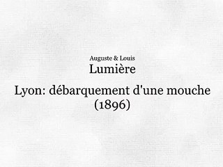 Lyon, débarquement d’une mouche (Desembarco de un barco fluvial en Lyon) [1896]