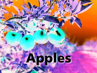 Baby MacDonald in G Major [Part 2]